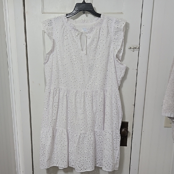 Time and Tru Dresses & Skirts - Time and Tru White Eyelet Long Sleeve Dress